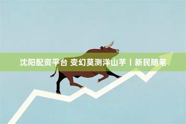 沈阳配资平台 变幻莫测洋山芋丨新民随笔